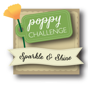 Challenge3-SparkleShine